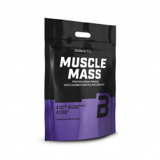 Гейнер BioTech Muscle Mass, 4 кг Шоколад Гейнер BioTech Muscle Mass, 4 кг Шоколад