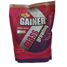 Гейнер Power Pro Gainer, 2 кг Лісова ягода Гейнер Power Pro Gainer, 2 кг Лісова ягода
